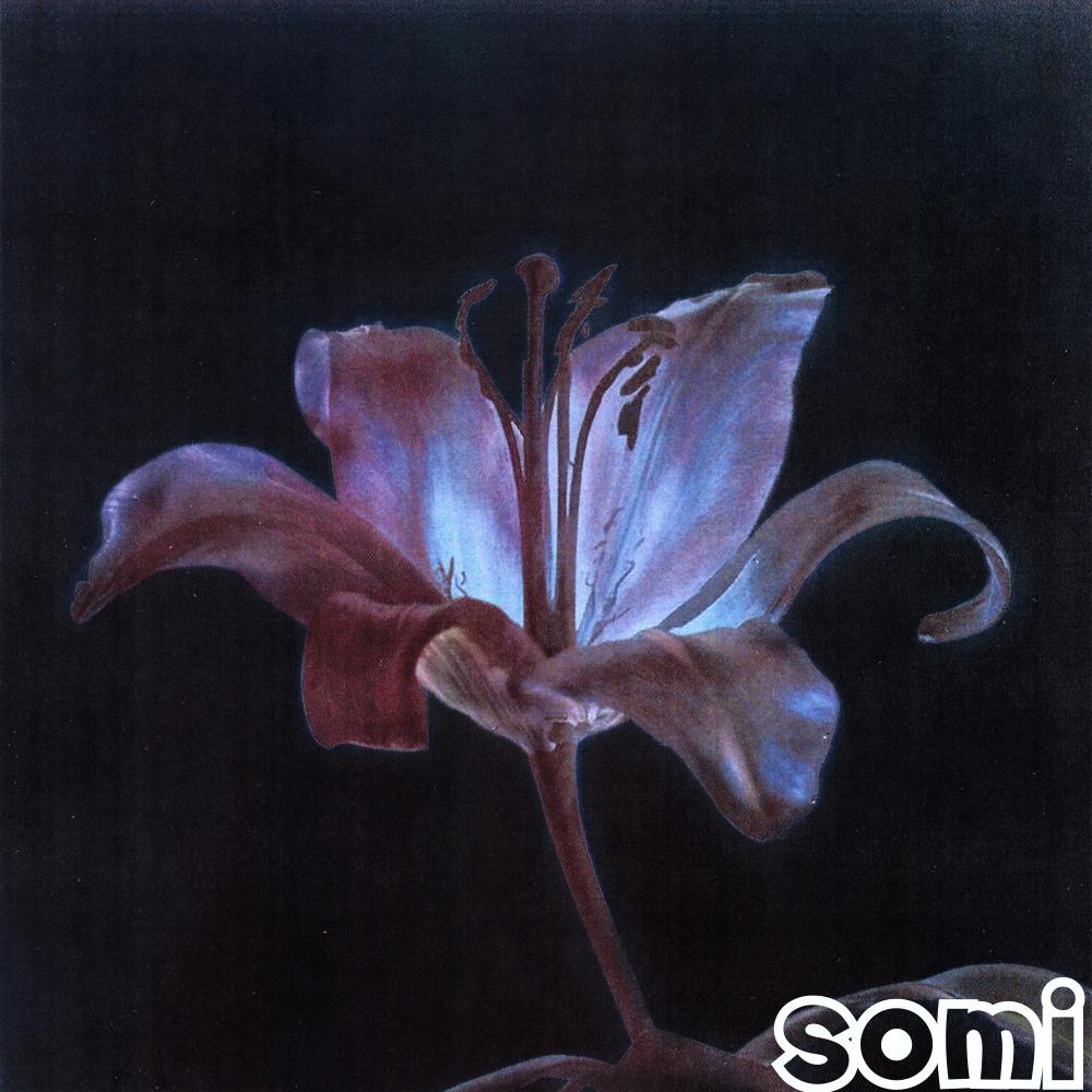 Image Cover